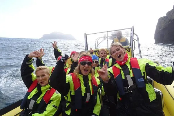 Vestmannaeyjar Boat Tour: See Caves & Wildlife!