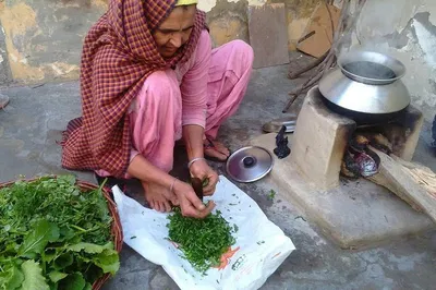 Discover Rural India: A Cultural Village Tour Near Delhi