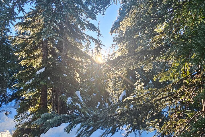 Experience Image img2