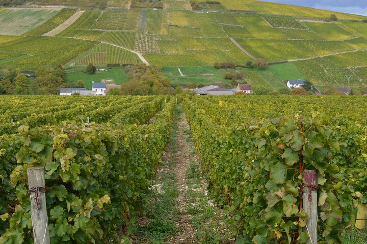 Sancerre Wine Tour: Taste France's Best from Paris!