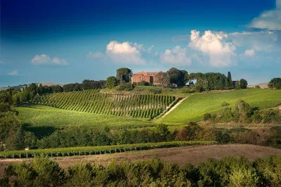 Savoring Siena: Brunello Wine Tasting in a Medieval Castle