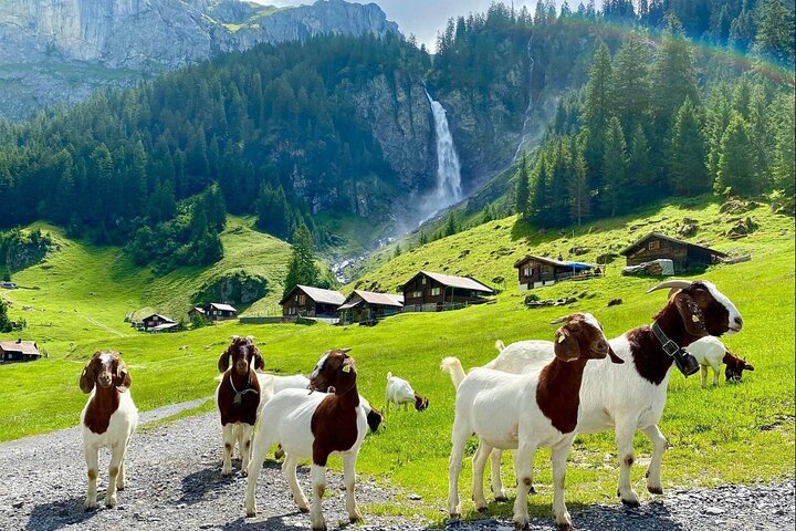 Experience Image img1