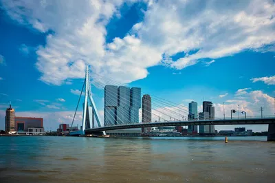 Amsterdam: Private Day Trip to Rotterdam, Delft & The Hague