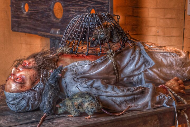 Experience Image img4