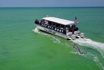 Egmont Key Tour: Dolphins, Snorkeling & Shelling!