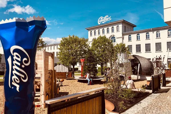 Indulge in Gruyères: A Charming Day Trip of Chocolate, Cheese, and Castle Delights from Geneva