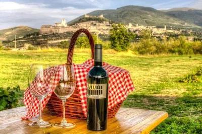 Assisi Vineyard Escape: Wine & Picnic Delight