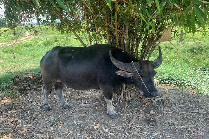 Experience Image img2