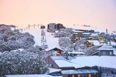 Mt Buller Snow Day Trip: Ski & Winter Fun!