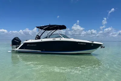 Key Largo's Sunset Spectacle: A Private Bay Cruise Adventure