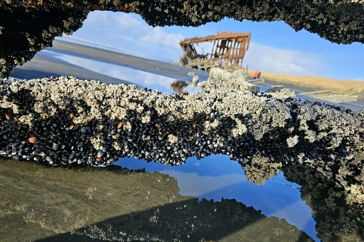 Coastal Wonders: Astoria to Seaside Full-Day Adventure