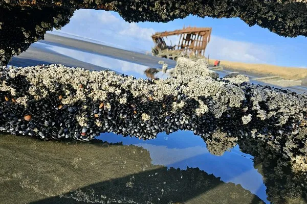 Coastal Wonders: Astoria to Seaside Full-Day Adventure