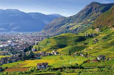 Unveiling South Tyrol's Finest: A Private Wine & Food Odyssey