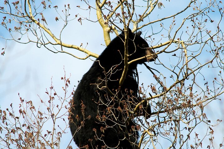 Experience Image img4