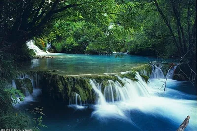 Unveiling Bach Ma: A Private Hiking Odyssey from Hue