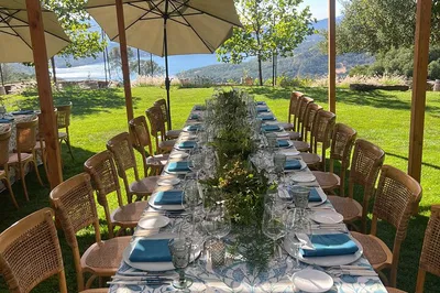 Uncork Napa: A Privately Driven Wine Tour Experience!