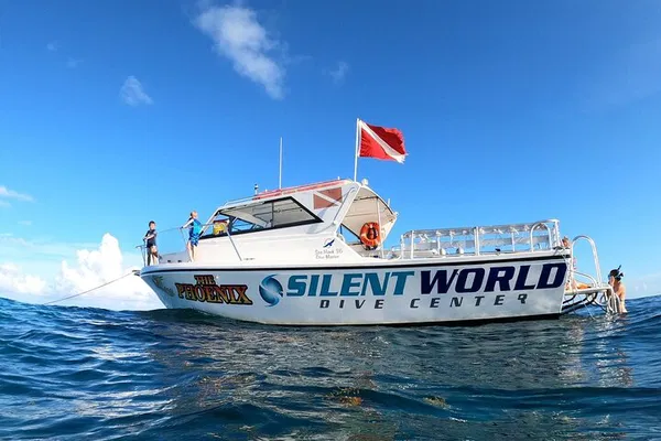 Explore Key Largo's Underwater Wonders: A Small-Group Scuba Adventure