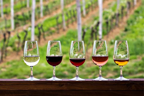 Uncork Austin: Half-Day Hill Country Wine Adventure