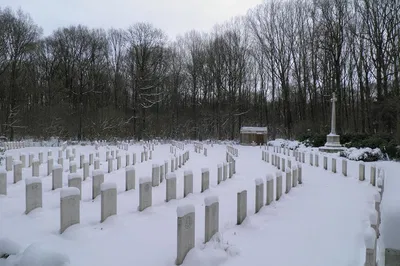 Unforgettable Flanders Fields: A Private Battlefield Tour from Bruges