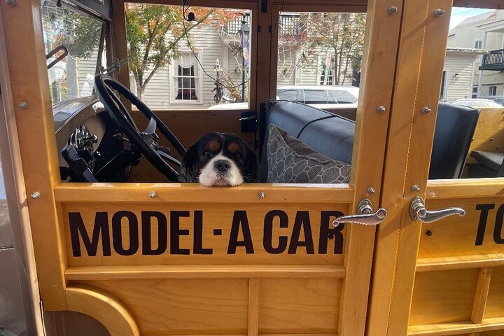 Experience Image img1