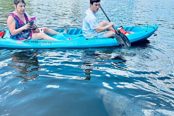 Cocoa Beach's Aquatic Wonders: Kayak & SUP with Dolphins & Manatees!