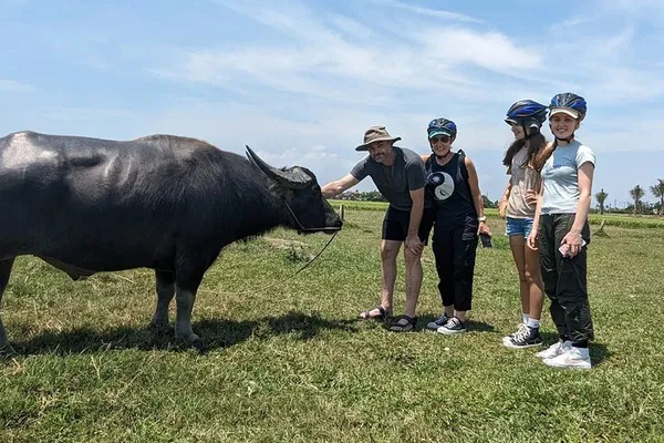 Hoi An Bike Tour: Village Life & Basket Boat Ride