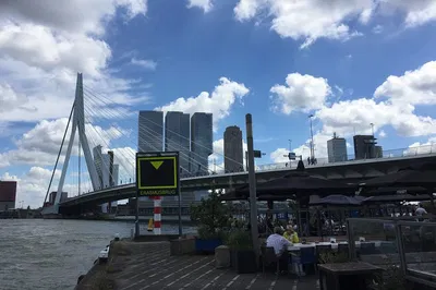 Discover Rotterdam's Charm: A Personalized City Walking Tour