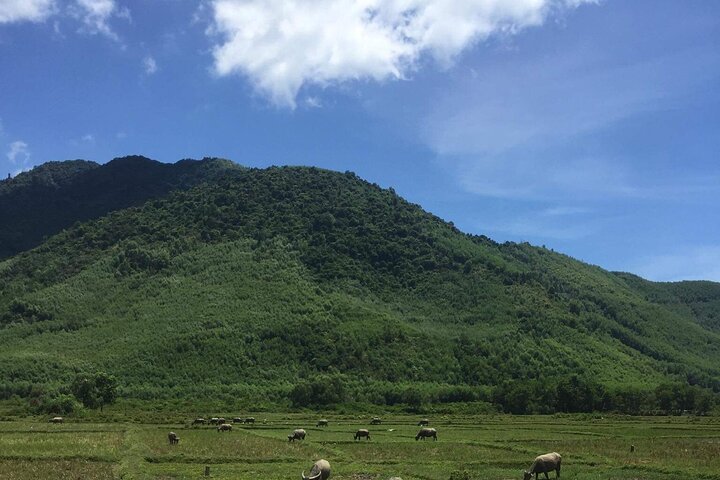 Experience Image img3