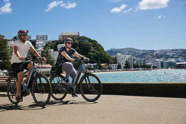 Wellington E-Bike Adventure: Explore at Your Own Pace!