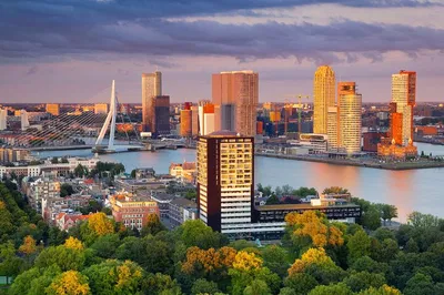 Discover Hague & Rotterdam: A Personalized Dutch Adventure from Amsterdam