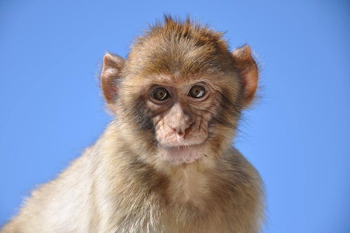 Experience Image img2