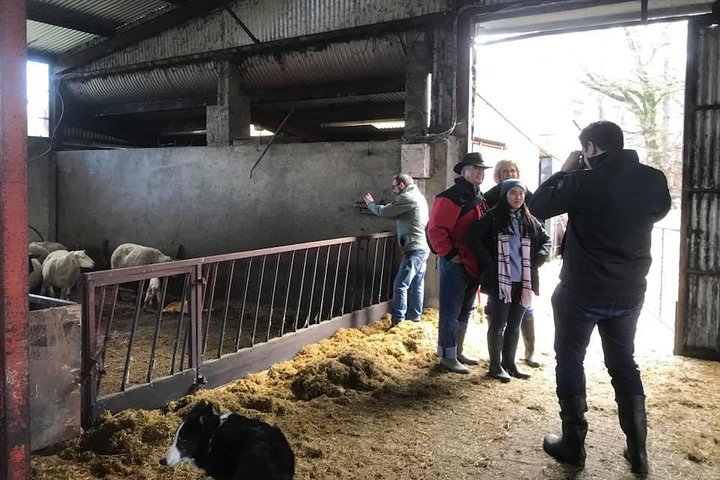 Experience Image img1