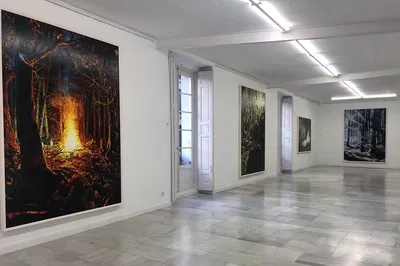 Madrid's Art Scene: Uncover Hidden Galleries & Meet Local Artists