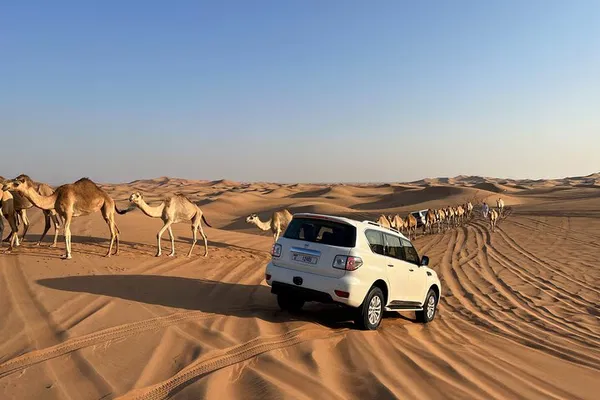 Experience the Thrill: Dubai Desert Safari with BBQ & Cultural Shows