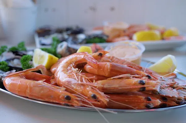 Mooloolaba Seafood Lunch Cruise: Dine on the Water!