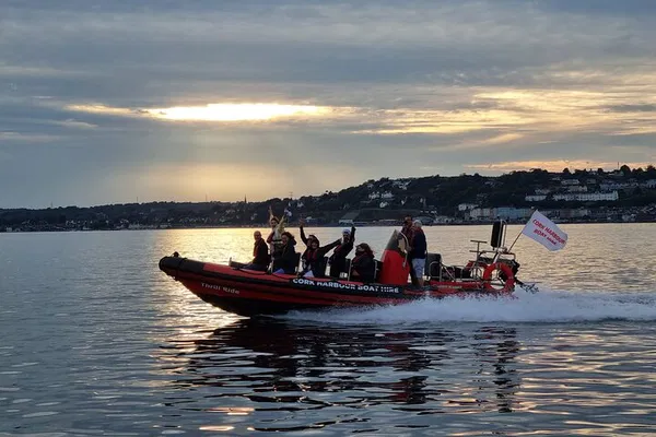 Cork Harbour RIB Tour: Thrilling Sea Safari Adventure
