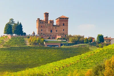 Barolo Wine Tour: Piedmont Castle & Langhe Trip from Milan