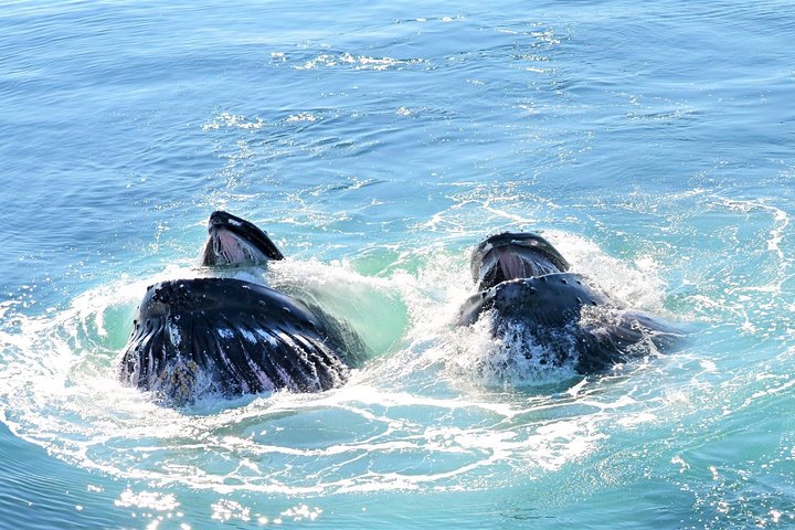 Experience Image img2