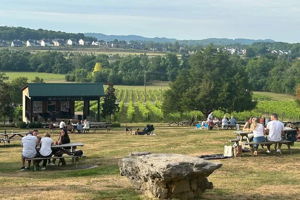 Nashville's Premier Private Wine Tour: Uncork Tennessee's Charm