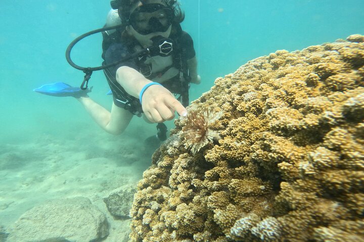 Experience Image img2