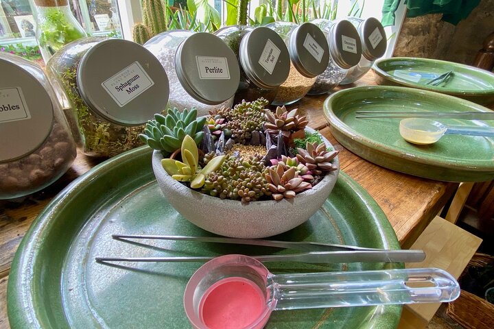 Experience Image img4