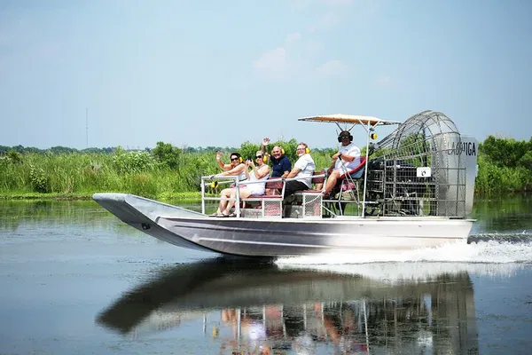 NOLA Airboat Tour: See Alligators in Cypress Swamps