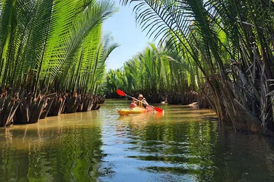 Paddle Through Hoi An: Sunset Kayak to Mangrove Magic