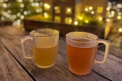 Unwrap the Holidays: A Tipsy Mulled Wine Adventure at Karlsruhe Castle!