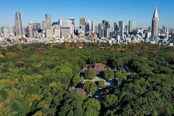 Discover Tokyo's Spiritual Heart: Meiji Shrine Guided Tour