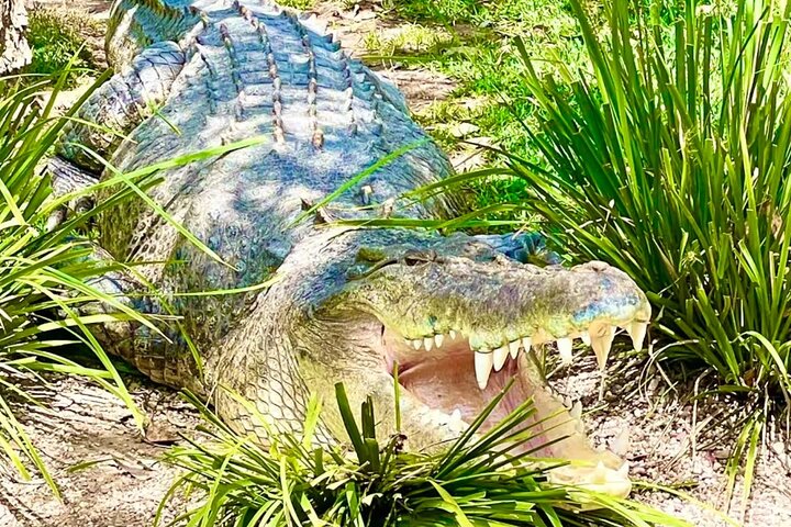 Experience Image img4