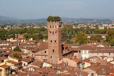 Stress-Free Lucca to Rome Transfer: Private Door-to-Door Service