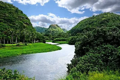 Oahu's Ultimate Circle Island Tour: Beauty, Feast & Iconic Sights!