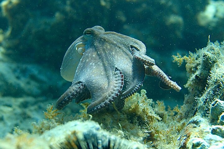 Experience Image img1