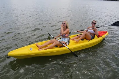 Explore Florida's Wild Side: Tandem Kayak Adventure on Spruce Creek